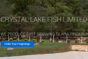 Crystal-Lake-Fish-Limited-Jobs-in-Ghana