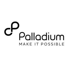 Palladium Group Jobs in Ghana