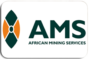 AMSG Ltd.